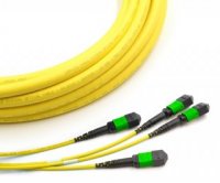 MTP Trunk Cables