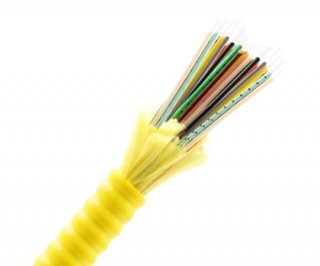 48 Fiber Armored Distribution Cable OS2 OFNR