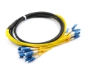 2m 12 LC/UPC to 12 LC/UPC Singlemode OS2 9/125 Double Fanout Cable
