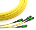 72 Fiber MTP Singlemode OS2 Trunk Cable Config