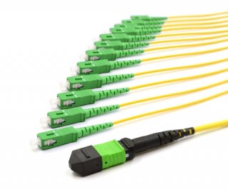 1m MTP Male to 12 SC APC 12 Fiber Singlemode OS2 9/125 Fanout Cable