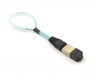 12 Fiber MTP Std Loopback F OM3 19 Pinout