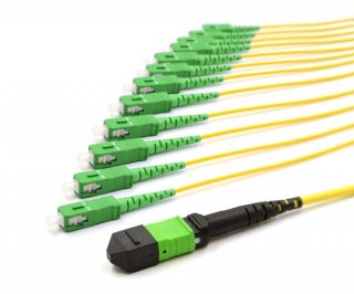 10m MTP Female to 12 SC APC 12 Fiber Singlemode OS2 9/125 Fanout Cable