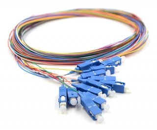 3m 12 Fiber SC Pigtail Singlemode OS2