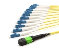 5m MTP Female to 12 LC UPC 12 Fiber Singlemode OS2 9/125 Fanout Cable