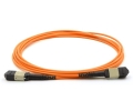 1m 12 Fiber MTP Cable Multimode OM1 MPO MPO