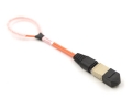 12 Fiber MTP Elite Loopback M OM1 12 Pinout