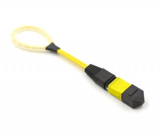 24 Fiber MTP Elite Loopback M OS2 113 Pinout