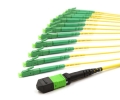 1m MTP Male to 12 LC APC 12 Fiber Singlemode OS2 9/125 Fanout Cable