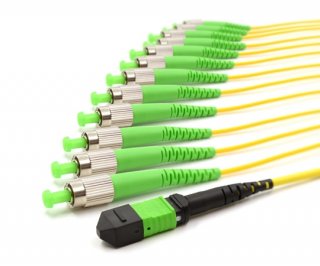 5m MTP Male to 12 FC APC 12 Fiber Singlemode OS2 9/125 Fanout Cable