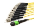 1m MTP Female to 12 FC UPC 12 Fiber Singlemode OS2 9/125 Fanout Cable