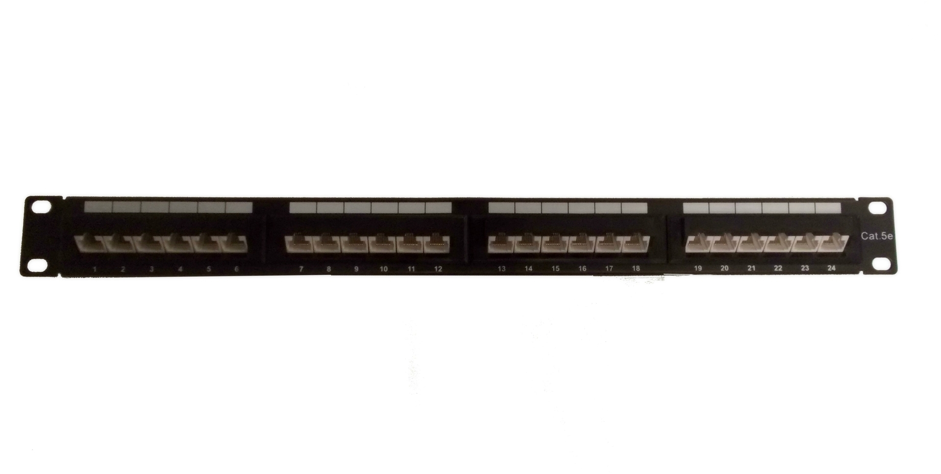 Cat5E 45 Degree Panel 24P 568A/B Compatible