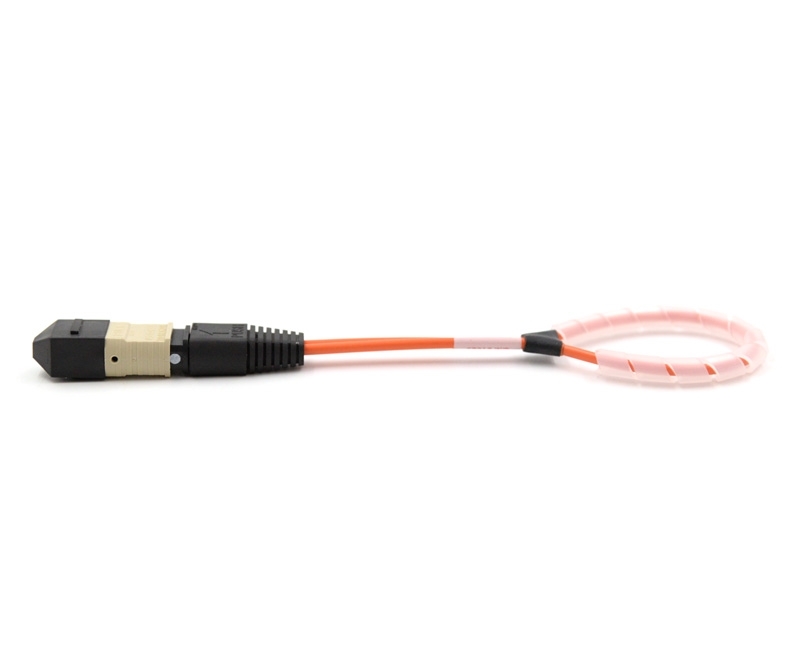 12 Fiber MTP Std Loopback F OM1 12 Pinout