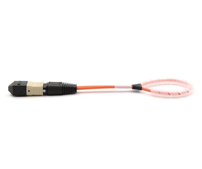 12 Fiber MTP Std Loopback F OM1 12 Pinout