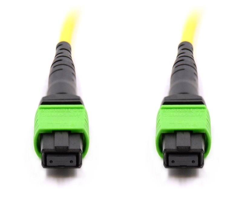 10m 12 Fiber MTP Cable Singlemode MTP MTP