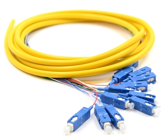 3m 12 Fiber SC Pigtail Singlemode OS2  3m 12 Fiber SC Pigtail Singlemode OS2