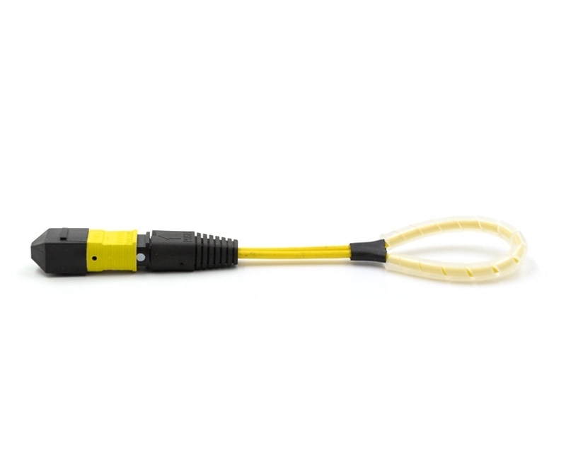 12 Fiber MTP Elite Loopback M OS2 12 Pinout