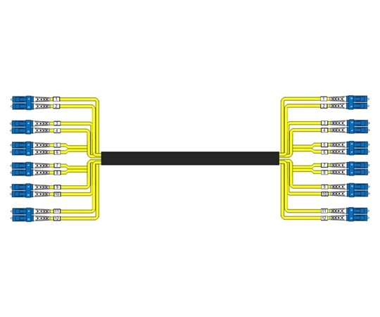 24 Fiber Singlemode Custom Indoor/Outdoor Fiber Cable Assembly  24 Fiber Singlemode Custom Indoor/Outdoor Fiber Cable Assembly