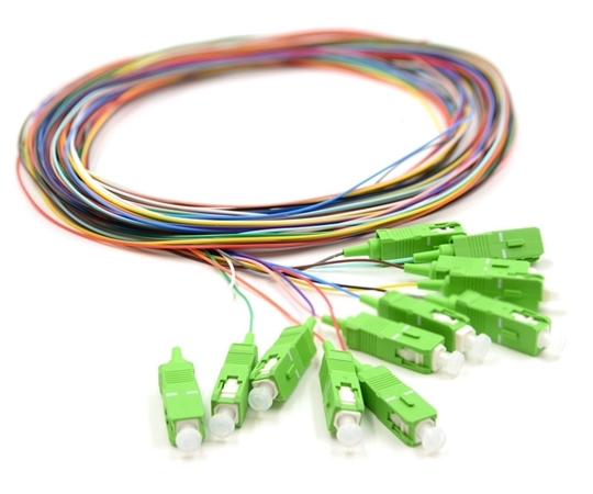 3m 12 Fiber SC/APC Pigtail Singlemode OS2  3m 12 Fiber SC/APC Pigtail Singlemode OS2