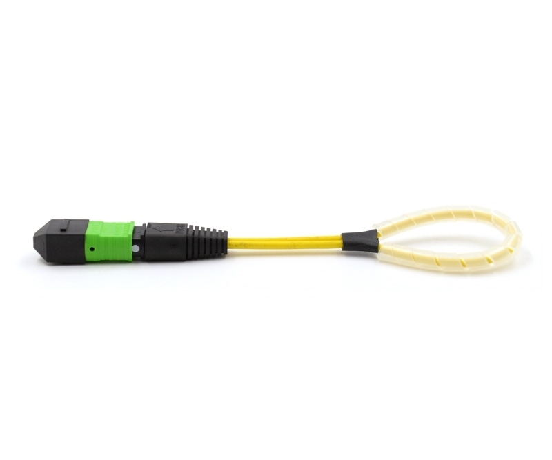 12 Fiber MTP Std Loopback M OS2 112 Pinout