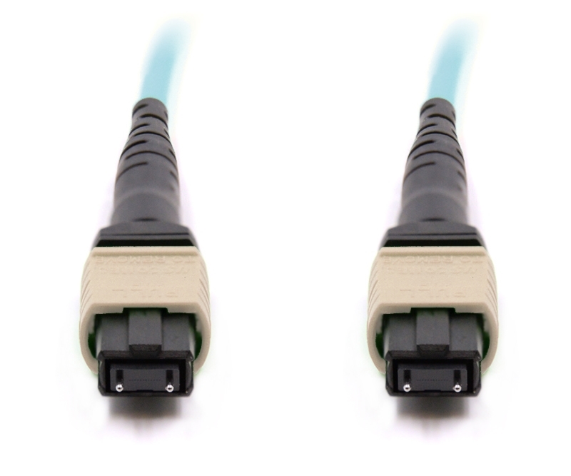 1m 12 Fiber MTP Cable Multimode OM3 MTP MTP
