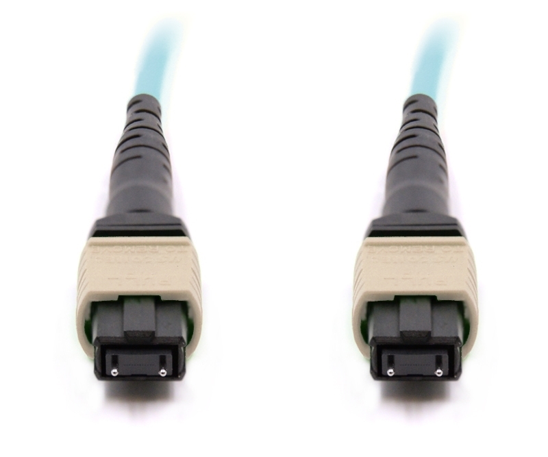 1m 12 Fiber MTP Cable Multimode OM3 MTP MTP